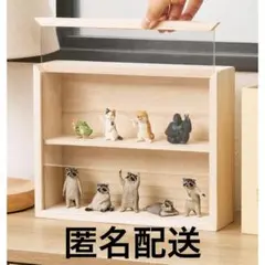 3COINS 窓付き　木製　ディスプレイ　収納　カプセルトイコレクション