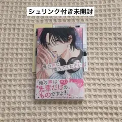 俺の声に堕ちてください(1)