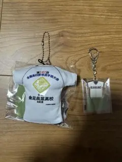 甲子園 金農 2点セット 金足農業高校 秋田 高校野球 第107回