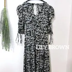 Item thumbnail for item 4fb7d9a4-7fb7-4fbd-b629-dcad3e66331a