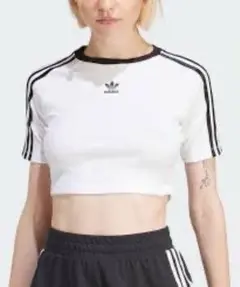 adidas クロップドTシャツ ホワイト