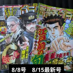 週刊漫画ゴラク2冊
