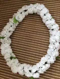 フラダンス　レイ