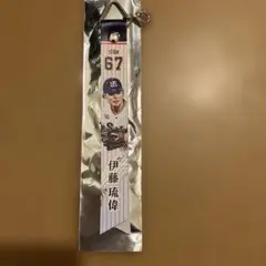 ヤクルトスワローズ　マッチデーボンフィン　伊藤琉偉　阪神戦
