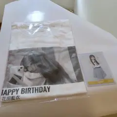 Item thumbnail for item 95841f97-3c67-4603-a7bb-58569c1a7f5d