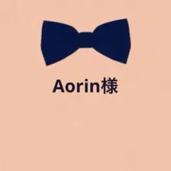 Aorin 8/29購入分〜発送方法変更様　同梱分