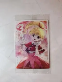 HUNTER × HUNTER ビスケット・クルーガー カード 3 イタジャガ