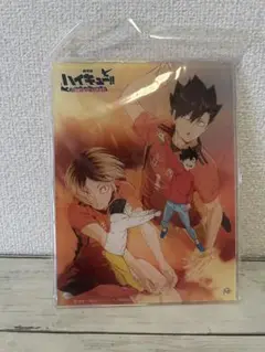 ハイキュー　ゴミ捨て場の決戦　アクリルプレート