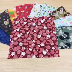 ★A126★ カットクロス/プリント生地/国産/25cm×25cm/10点