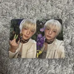 &TEAM HARUA Back to Life トレカ ソロジャケ