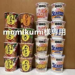 日清　カップヌードルBIG3種　カレーメシ4種　計16点