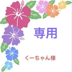 専用