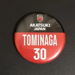 Item thumbnail for item a4550262-722b-435e-b02c-c5f87dc36692