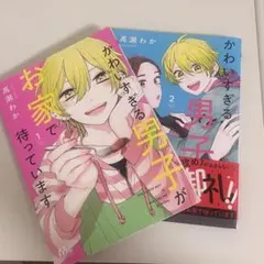 【まとめ売り　美品】かわいすぎる男子がお家で待っています　1~2巻