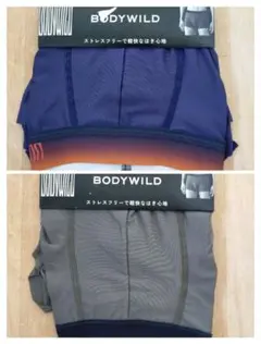 BODY WILD EZX ボディワイルド ボクサーパンツ Ｌサイズ 2枚 A
