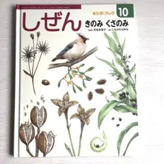 キンダーブック しぜん きのみくさのみ 10