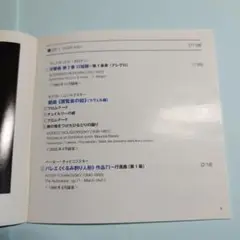 国内盤2CD／ゲルギエフ　ロシア音楽の饗宴　白夜祭～ロシア音楽紀行