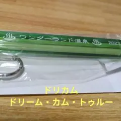 ワンダーランド温泉 2023 アクリルキーホルダー ドリカム　新品　未使用