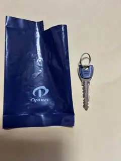 オプナス　シリンダー  鍵 通常key3本 変更key1本 メモリス（シリンダー・キーセット）オプナス製 – FunFitFurniture
