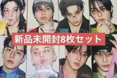 KARMA 新品未開封 アルバム アコーディオン 8枚 コンプリート セット