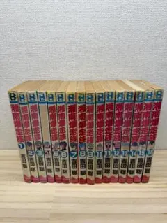 湘南爆走族 コミック 全巻 全16巻完結セット 吉田聡 少年画報社