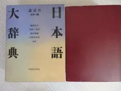 日本語大辞典 カラー版