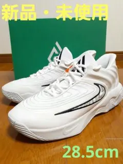 NIKE　ヤニス イモータリティ 4 EP 28.5cm　新品　GIANNIS