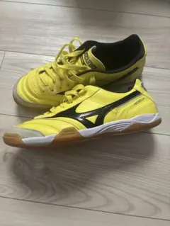 MIZUNO モレリアIN 30周年記念カラー 2015年発売 26cm