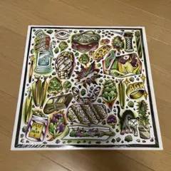 FLIP & DRAW II GREEN ASSASSIN DOLLAR 2LP