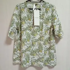 Item thumbnail for item 58d8a25e-4ac7-42f0-adb4-2e8803a1d739