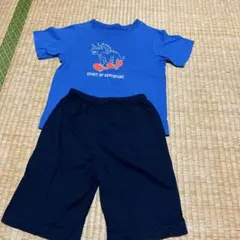 恐竜プリント Tシャツとショートパンツセット 120