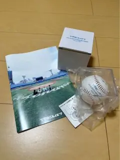 マカロニえんぴつ　横浜スタジアム6/15 サインボール