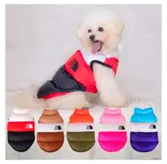 Item thumbnail for item 0d706b35-930f-468e-a340-75e74bfb4707