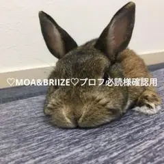 ♡MOA&BRIIZE♡プロフ必読様確認用