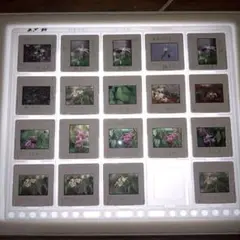 Item thumbnail for item fcfb080a-8597-4439-b3d5-f95eff7010b3