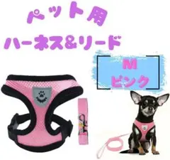 Item thumbnail for item 578de376-c9b9-4f7a-b28e-a831cfcf0eb6