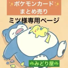 ミツ様 リクエスト 3点 まとめ商品