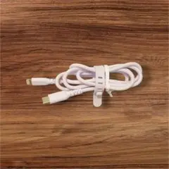 RAVPOWER PD 60W USB-C 急速充電器