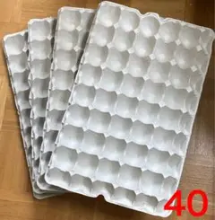 卵ケース　卵パック　40穴　4枚組