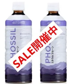 Item thumbnail for item e8f4d82c-7e66-4c0a-960a-dd16590a5ebf