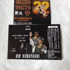 ジャイアンツ小林誠司ステッカー2枚セット