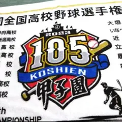 2023年 第105回全国高校野球選手権 記念大会 タオル全国高校出場名前入り