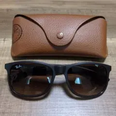 Ray-Ban rb4202f ANDY アジアンフィットモデル　専用ケース付き