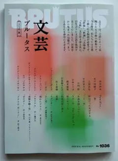 文芸BRUTUS 2025 夏 文芸ブルータス 8/15号