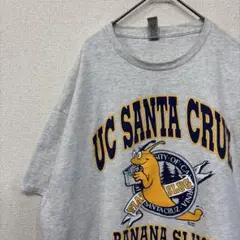 ギルダン　tシャツ カレッジ　チーム　ロゴ　アメリカ古着　 XL 2147