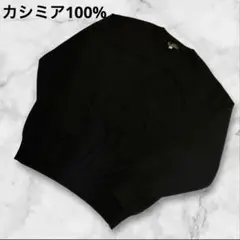 CAHMIERE ピュアカシミヤ ニットセーター L 黒