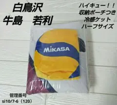 Item thumbnail for item 9c6aa55e-b400-47a2-aba5-12813f2e3e89