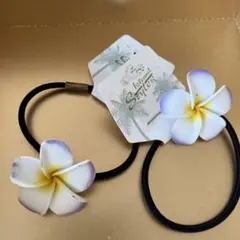 プルメリアヘアゴム2個セット