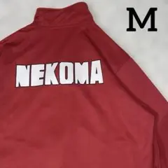 Item thumbnail for item 0bdcb4e4-5231-4926-bd3e-e3f87070c9ed