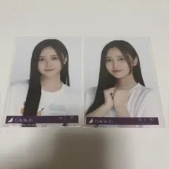乃木坂46 生写真 39th Same numbers 井上和　ヒキ2枚